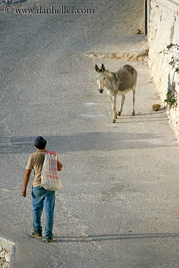 man-walking-to-donkey.jpg