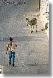 amorgos, donkeys, europe, greece, men, people, vertical, walking, photograph