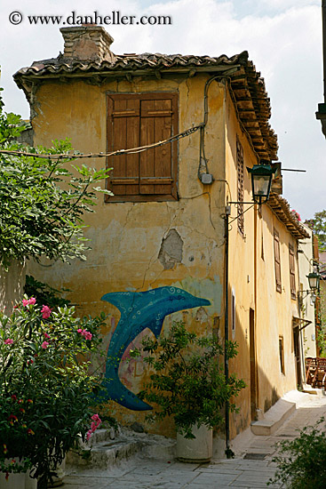 blue-dolphin-graffiti-on-old-orange-bldg.jpg