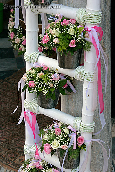 white-ladder-n-flowers.jpg