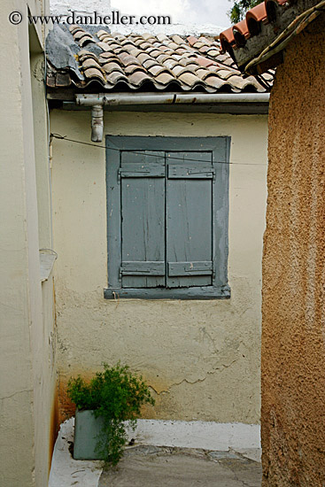 grey-window-n-potted-fern.jpg