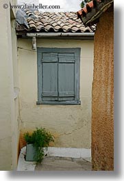 athens, europe, ferns, greece, grey, potted, vertical, windows, photograph