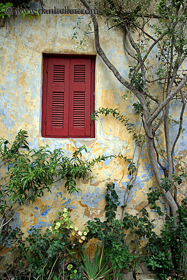 red-window-green-ivy-yellow-wall-2.jpg