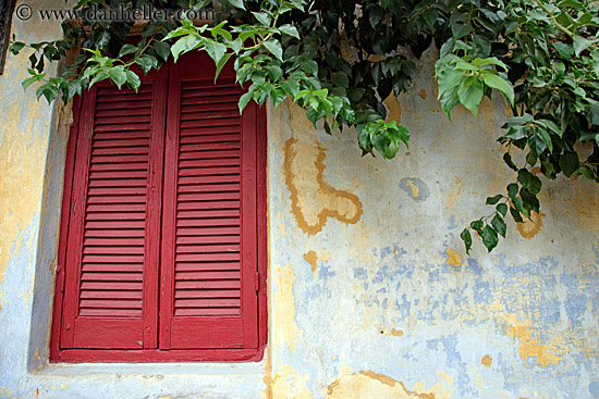 red-window-green-ivy-yellow-wall-4.jpg