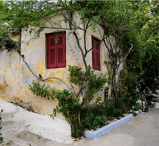 red-windows-n-green-ivy.jpg