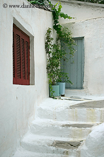 window-plants-n-white_wash-steps-1.jpg