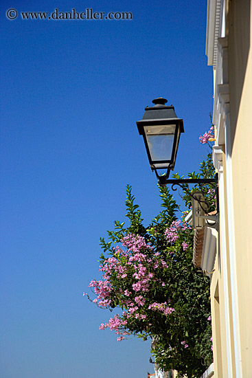 flowers-n-lamp_post.jpg