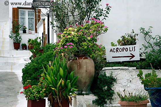 plants-n-acropolis-sign.jpg