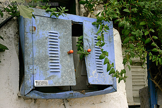 vines-n-old-electrical-box.jpg