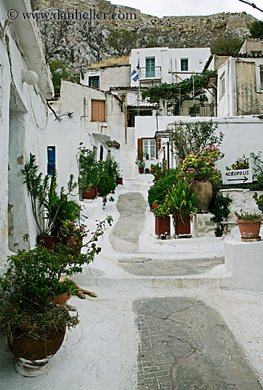 white_wash-walkway-w-plants.jpg