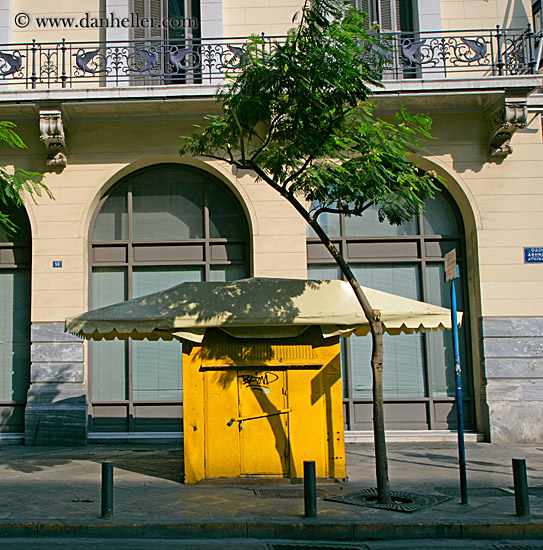 yellow-kiosk-n-arching-tree.jpg