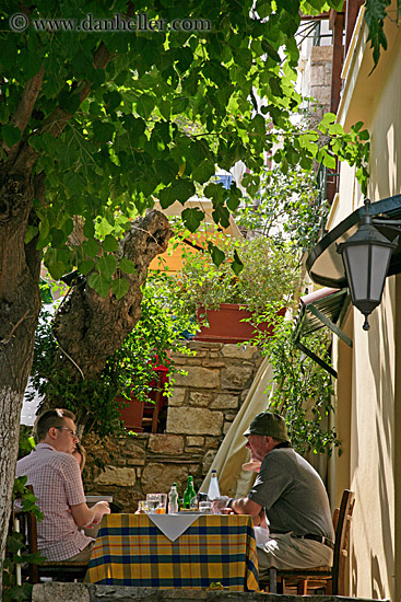 lunch-under-leafy-tree.jpg