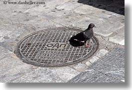 athens, covers, europe, greece, horizontal, manholes, pigeons, streets, photograph