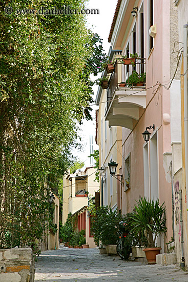 narrow-street-bldgs-n-trees.jpg