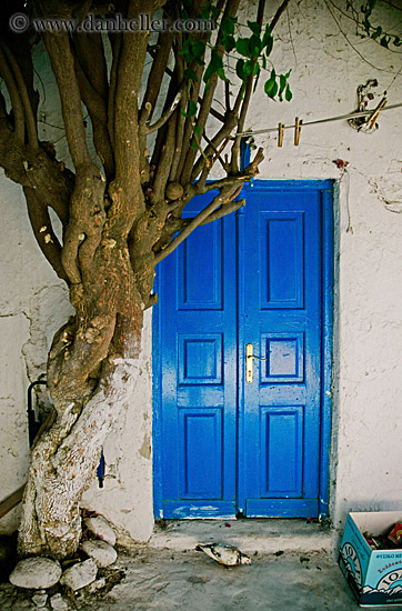 blue-door-n-tree.jpg