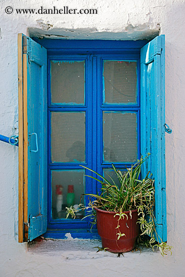 blue-window-w-spider-plant.jpg