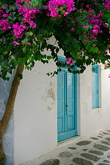 Pink Bougainvillea and Blue Door