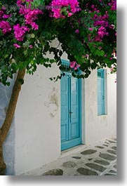 blues, bougainvilleas, doors, europe, greece, mykonos, pink, vertical, white wash, photograph