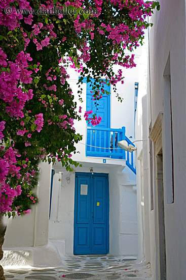 pink-bougainvillea-n-blue-doors.jpg