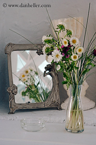 flowers-in-mirror.jpg