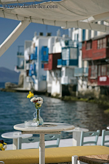 yellow-flowers-on-table.jpg