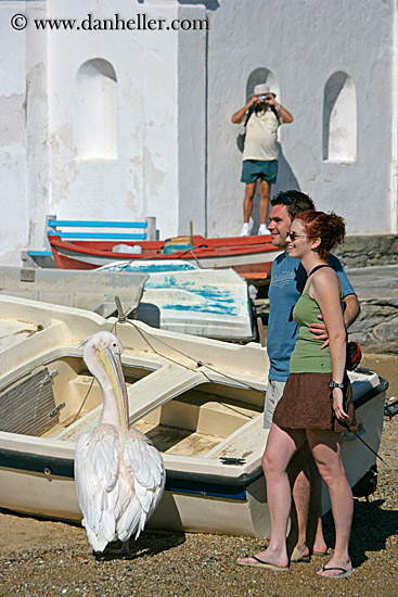 couple-photographed-w-pelican.jpg