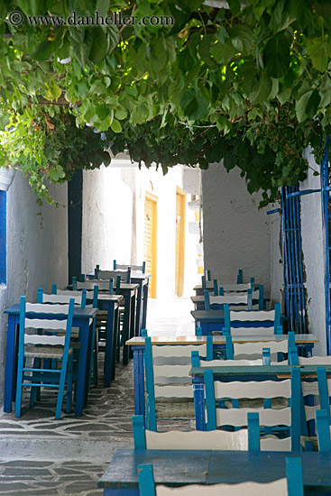 blue-chairs-under-green-leaves.jpg