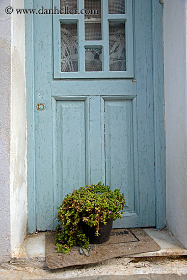 blue-door-n-green-plant.jpg