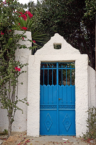 blue-metal-door-w-flowers.jpg