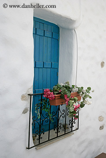 blue-window-w-flowers.jpg