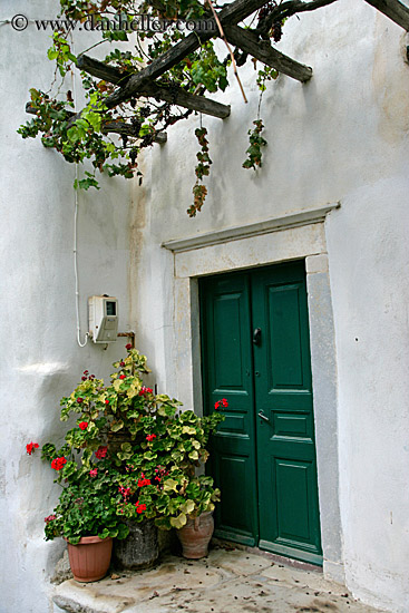 green-door-n-plants-1.jpg