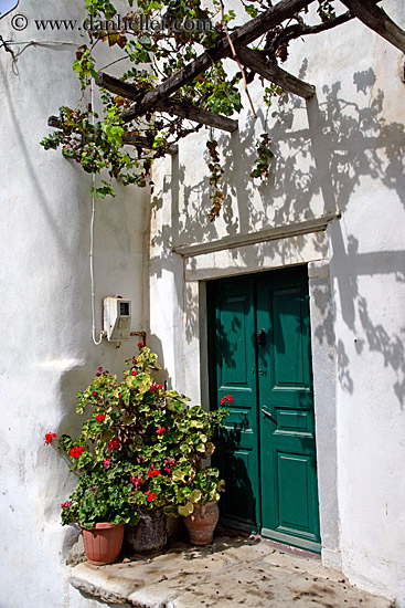 green-door-n-plants-2.jpg