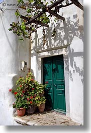 doors, doors & windows, europe, flowers, greece, green, nature, naxos, plants, vertical, photograph