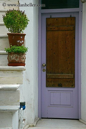 purple-door-w-plants-on-stairs.jpg