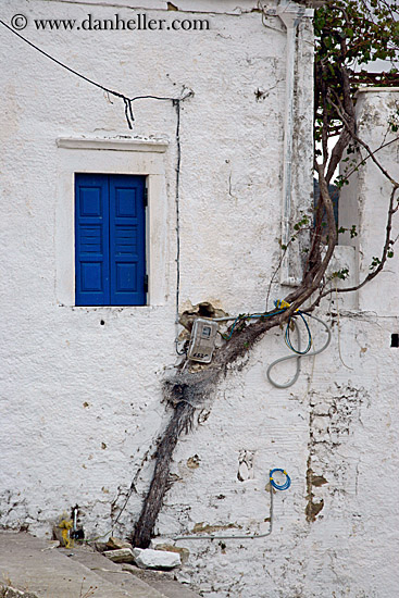 small-blue-window-tree-n-electric-box.jpg