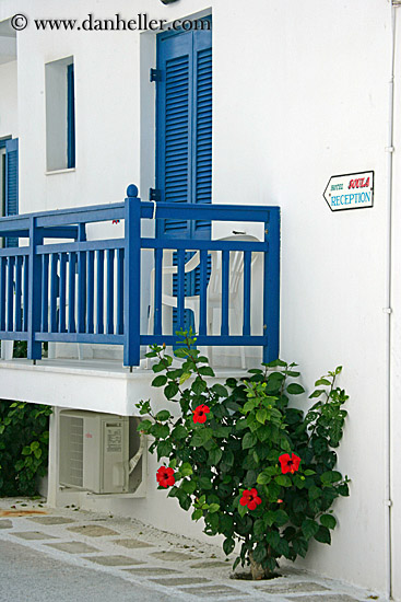 green-plant-n-blue-door.jpg