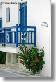 blues, doors, europe, flowers, greece, green, naxos, plants, vertical, photograph