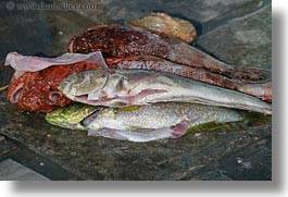 dead, europe, fish, foods, greece, horizontal, naxos, photograph