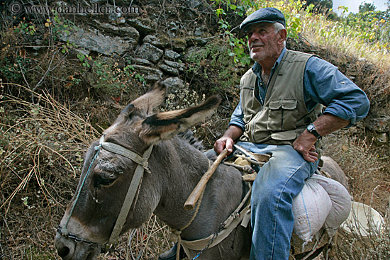 old-man-on-donkey-1.jpg