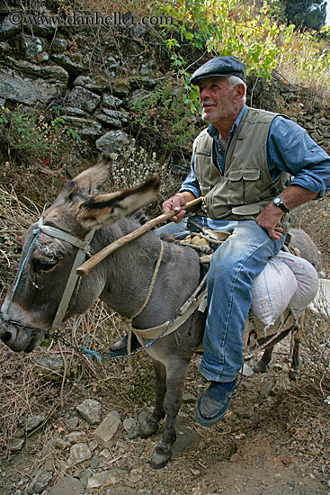 old-man-on-donkey-2.jpg