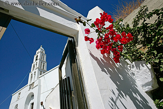 red-bougainvillea-n-church-bell_tower-n-gate-3.jpg