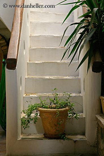 potted-plant-on-stairs.jpg