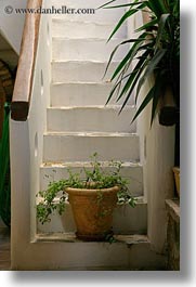 europe, greece, hotel voreades, plants, potted, stairs, tinos, vertical, photograph