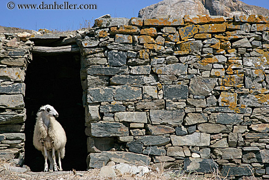 sheep-in-stone-hutch.jpg