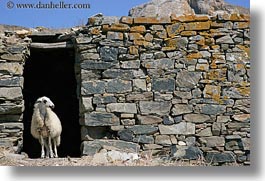 europe, greece, horizontal, hutch, sheep, stones, tinos, photograph