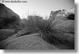 black and white, europe, greece, horizontal, rocks, tinos, weeds, photograph