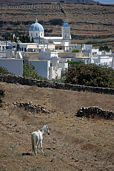 white-horse-n-blue-domed-church-2.jpg