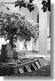 budapest, buildings, cemetary, europe, graves, headstones, hebrew, hungary, language, nature, plants, synagogue, trees, vertical, photograph