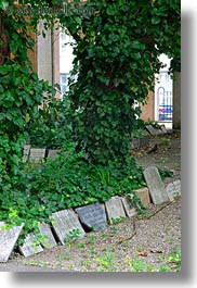 budapest, buildings, cemetary, europe, graves, hungary, ivy, synagogue, trees, vertical, photograph