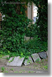 budapest, buildings, cemetary, europe, graves, hungary, ivy, synagogue, trees, vertical, photograph